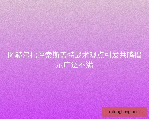 图赫尔批评索斯盖特战术观点引发共鸣揭示广泛不满
